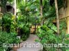 Tropical gardens
